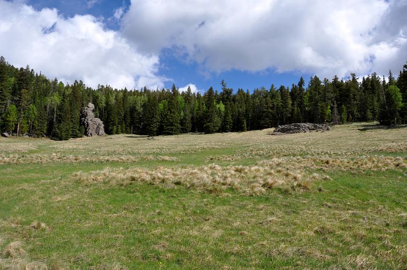 1006120919-Baldy 148.jpg